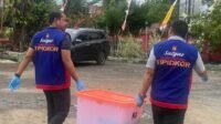 IMG-20221117-WA0014