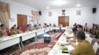 Hani S Rustam Minta Perayaan HUT Kabupaten Banyuasin Ke-22 Memberi Kesan Bagi Masyarakat