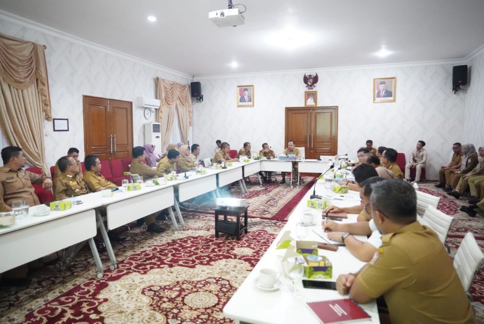 Hani S Rustam Minta Perayaan HUT Kabupaten Banyuasin Ke-22 Memberi Kesan Bagi Masyarakat