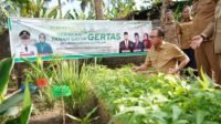 Pj. Bupati Banyuasin Launching Gertas Di SMPN II Banyuasin III.