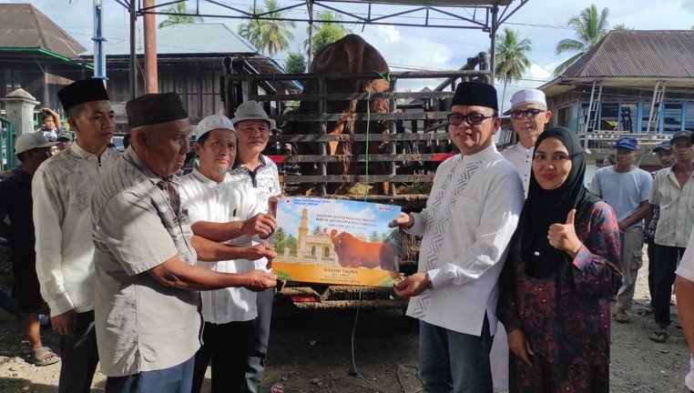 27_sapi
