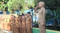 4_Apel