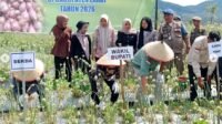 9_Bawang2