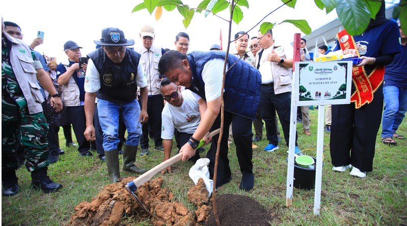 Hutan4