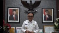 9_joncik