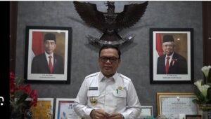 9_joncik
